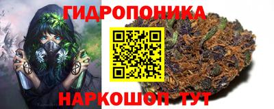трава Пенза