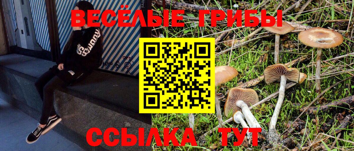 Ростов-на-Дону  Галлюциногенные грибы прущие грибы  Вход с VPN 